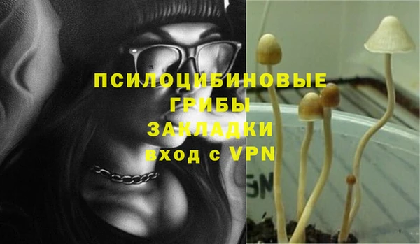 бошки Белокуриха