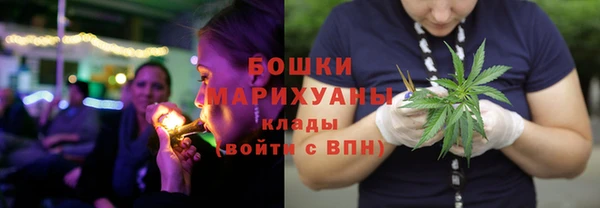 бошки Белокуриха