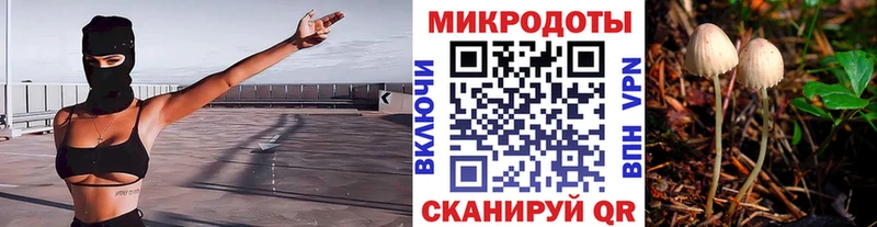 Галлюциногенные грибы Psilocybine cubensis МЕГА рабочий сайт Биробиджан где найти наркотики